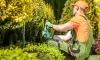Local Garden Maintenance Services Canberra