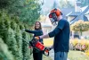 Gardening Services in Vancouver: Pros and Cons in 2023