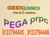 Software Training Institute
