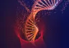 Gene Editing ELISA Kit Customization Service - Creative Diagnostics