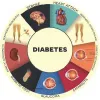 Generic Diagno Lab | Diabetic Checkup Lab in Vaishali Ghaziabad