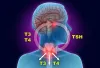 Generic Diagno Lab | Thyroid Profile Test in vaishali, Ghaziabad