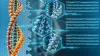 How do Genetic Testing for Hereditary Cancer Work? - US DNA Test