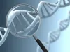 Can genetic testing identify the cause of miscarriage? | US DNA TEST
