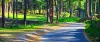 Patnitop Tour Guide: All You Need To Know, Tourist Places in Patnitop |