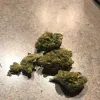 Marihuana Online Kaufen: