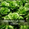 Gibberellic Acid 0.001% Manufacturer &amp; Supplier | Peptech Biosciences Ltd.