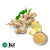 organic ginger extract , organic ginger extract, bulk organic ginger extract, ginger extract supplier