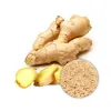 ginger extract powder, bulk ginger extract powder, ginger extract powder supplier