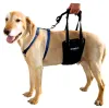 Which Small Dog Harness For Your Puppy?