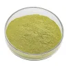 Ginkgo Biloba Extract Manufacturer