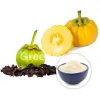 garcinia extract powder, organic garcinia extract powder, garcinia extract powder supplier