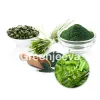spirulina powder, spirulina powder benefits, organic spirulina powder, spirulina supplement, spirulina vitamins