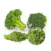 broccoli powder supplier, organic broccoli powder, bulk organic broccoli powder