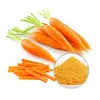 organic carrot powder, bulk organic carrot powder, carrot powder supplier