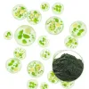 Organic Chlorella Powder, Chlorella Powder Supplier, Bulk Organic Chlorella Powder