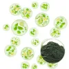 Organic Chlorella Powder, Chlorella Powder Supplier, Bulk Organic Chlorella Powder