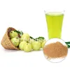 amla fruit powder, organic amla powder, gooseberry powder, organic amla powder for hair, best organic amla powder