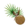 Saw palmetto fruit powder, organic saw palmetto powder, bulk organic saw palmetto powder