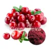health benefits cranberry juice, organic cranberry extract, cranberry supplement, cranberry extract, best cranberry extract, organic cranberry powder