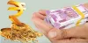 Gold Loan Nagpur