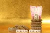 Gold Loan Indore