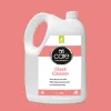 The Best Natural Glass Cleaner &amp; Window Cleaner | Organica