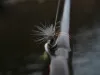 Tips For Choosing The Right Fly Tying Vise 