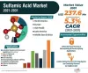 Sulfamic Acid Market | Global Industry Report, 2030