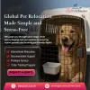 global_pet_relocation.png