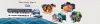 Goa Leisure | Car Rental | Car Hire Company in Goa | Inbound Tour Handling Agents India