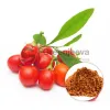 goji berry powder benefits, goji berry powder health benefits, goji berry powder, Organic Goji Berry Powder, goji berry powder supplier