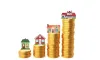 Seize the Opportunity: Gold and Silver Prices on the Rise