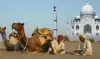 Golden Triangle with Pushkar Tour