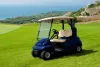 Some Common Mistakes When choosing a Golf Cart