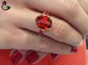 Gomed Stone Wearing Day and Time