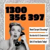 Carpet Cleaning Brisbane | From $95 | Brisbane Carpet Cleaners