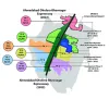 Government Worked Town Planning Wise Development In Dholera SIR