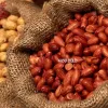 Indian Peanuts Supplier