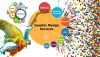 Why does you Required a Graphic Designing Company?