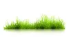 How to Select the Purest Grass-fed Whey Protein? | My Blog