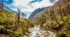  Top Places to Visit in Himachal Pradesh