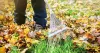 Green Waste Management Myths Debunked
