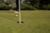 green lamb golf