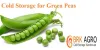 Green Peas Suppliers, Dealer and Trader in Pune 