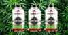 Green Health CBD Gummies