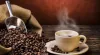 Purchase green coffee beans online