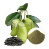 griffonia seed extract powder, griffonia seed powder, griffonia seed extract, griffonia simplicifolia seed extract, buy griffonia seed extract