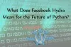 What does Facebook Hydra mean for the future of Python?