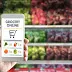closest mini-mart near you in Abu Dhabi, supermarkets in Abu Dhabi